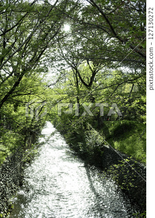 玉川渡槽綠色景觀 127130272