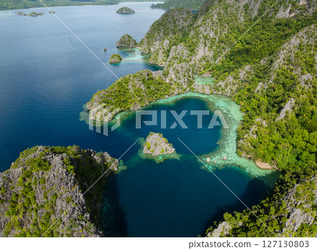 Lagoons with green water in Coron. Palawan, Philippines. 127130803
