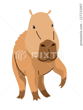 Capybara. Cartoon cute animal, wild herbivore mammal resting. Funny adorable exotic animal relaxing. Cartoon flat vector illustration 127131007