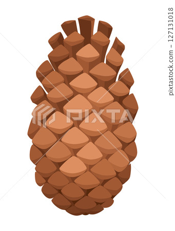 Fir or pine cone. Nature decoration symbol, forest sign. Isolated on white background. Set hand drawn coniferous cone. Colored vector illustration Fir or pine cone. Nature decoration symbol, forest sign. Isolated on white background. Set hand drawn coniferous cone. Colored vector illustration 127131018