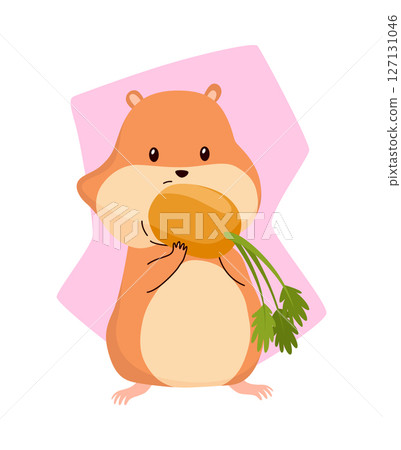 Cartoon hamster. Fluffy domestic pet, funny rodent. Happy home rodent animal. Vector illustration isolated on white background 127131046