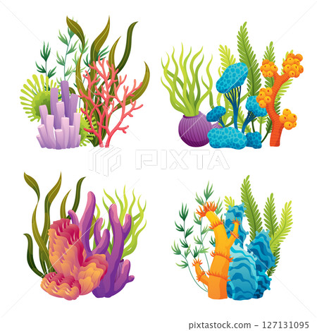 Set of watercolor seaweed and corals isolated on white background. Underwater algae. Aquarium plants collection. Vector marine life. Vector isolated corals and algae. Underwater flora 127131095
