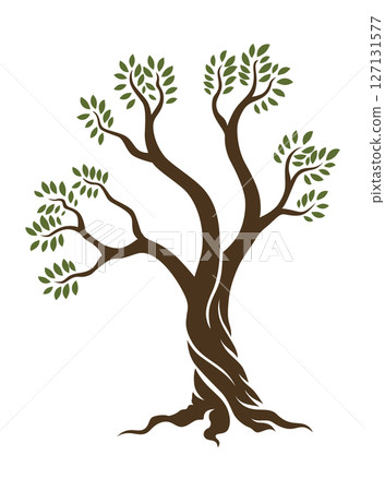 Olive trees with branches and leaves for design of packaging, label, logotype or banner. Natural organic stylized olive icon, premium quality sign. Vector illustration Olive trees with branches and leaves for design of packaging, label, logotype or banner. Natural organic stylized olive icon, premium quality sign. Vector illustration 127131577