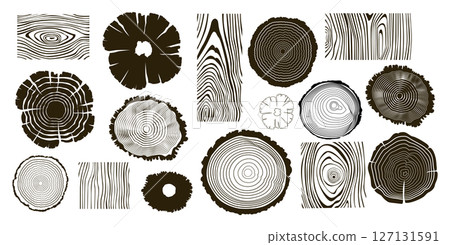 Wooden logs textures. Wood concepts graphics, lumber circles top view. Vintage outline tree rings stumps, cut trees structure racy vector collection Wooden logs textures. Wood concepts graphics, lumber circles top view. Vintage outline tree rings stumps, cut trees structure racy vector collection 127131591