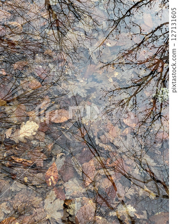 Reflection in the water of an autumn forest with leaves 127131605