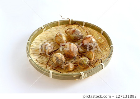 Irregularly sized onions in a colander Irregularly sized onions in a colander 127131892