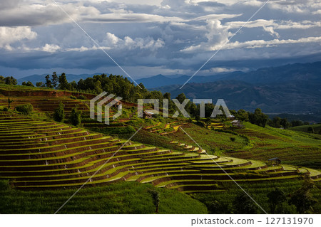 landscape of Rice terrace at Ban pa bong piang in Chiang mai Thailand landscape of Rice terrace at Ban pa bong piang in Chiang mai Thailand 127131970