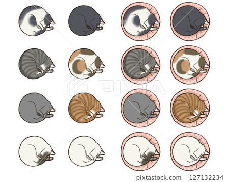 Curled up and sleeping cat set Curled up and sleeping cat set 127132234