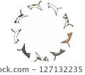 Set of short-haired cats jumping in a circle 127132235