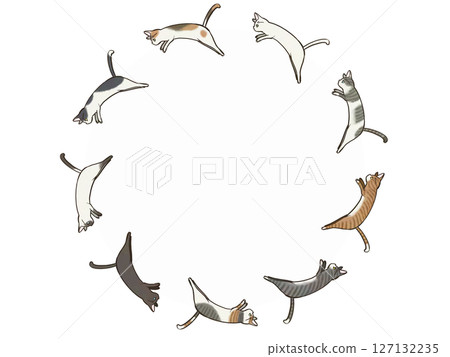 Set of short-haired cats jumping in a circle Set of short-haired cats jumping in a circle 127132235