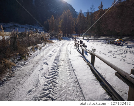 Serene winter landscape in aosta, italy, showcasing a snow covered path with tire tracks, surrounded by frosty trees and wooden fences in november Serene winter landscape in aosta, italy, showcasing a snow covered path with tire tracks, surrounded by frosty trees and wooden fences in november 127132452