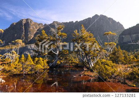 Artist's Pool in Tasmania Australia 127133281