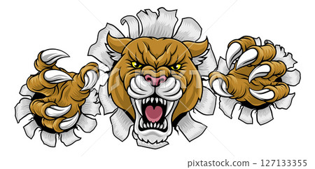 Cougar Panther Mountain Lion Puma Sports Mascot 127133355