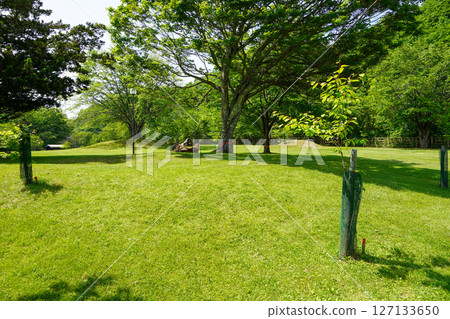 夕張瀧上公園 夕張瀧上公園 127133650