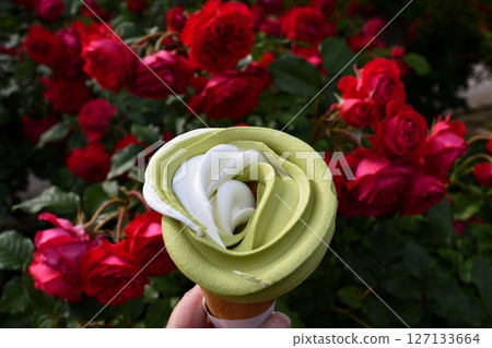 Ibaraki Flower Park 127133664