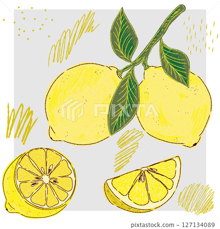 Mediterranean element, exotic tropical. Textured illustration with hand drawn sketch elements 127134089