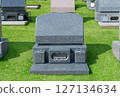 草坪墓園裡的西式墓碑。這是一張陽光明媚的日子裡墓地的風景照。 127134634