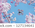 拍攝櫻花的小型無人機 127134641