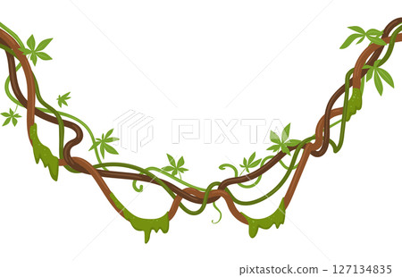 Green tropical liana plants. Climbing liana branches with moss, rainforest liana vines flat vector illustration. Cartoon jungle liana vegetation 127134835