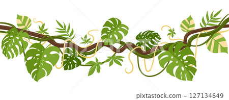 Tropical climbing liana. Jungle liana branches plants with moss, rainforest liana vines flat vector illustration. Cartoon green vegetation 127134849