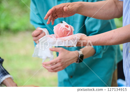 Making baked apples, Senior couple, Camping, Outdoor, Barbecue, BBQ, Family 127134915