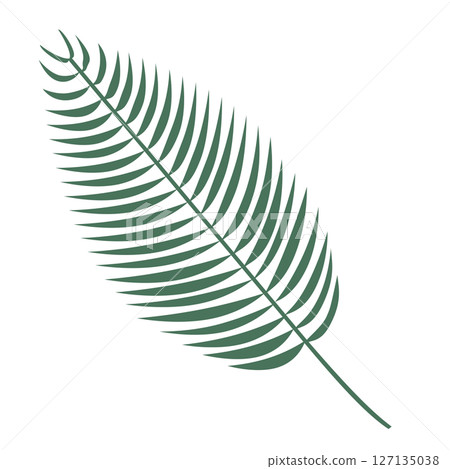 Simple palm leaf illustration 127135038