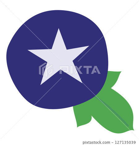 簡單的牽牛花插畫 127135039