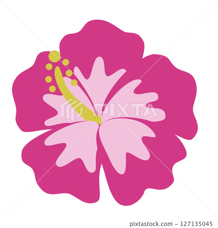 簡單的芙蓉圖 127135045