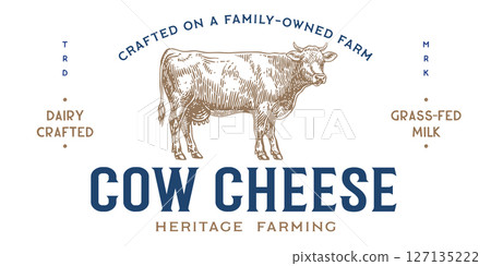 Cow cheese, milk, dairy. Cow cheese milk dairy label, vintage cow farm cheese artwork print. Pencil sketch milk dairy tag design, rural creamery cheese typography. Vector Illustration 127135222