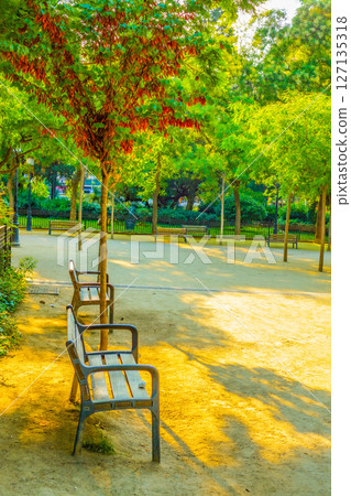 Park benches and trees 127135318