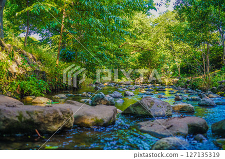 神田河的起源 127135319