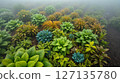 Green plants in foggy garden show sustainable supply chain for procurement of natural resources in eco friendly environment 127135780