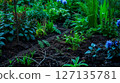 Green plants grow in rich soil showing sustainable gardening practices that support healthy supply chain for procurement of natural resources 127135781