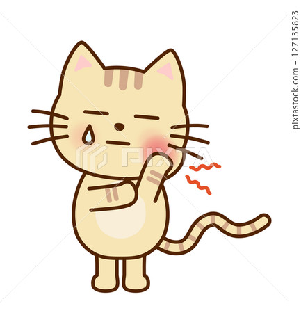 一隻可愛的貓因牙痛而做鬼臉的插圖 127135823