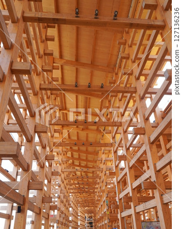 2025 Osaka Kansai Expo Large Roof Ring 127136236