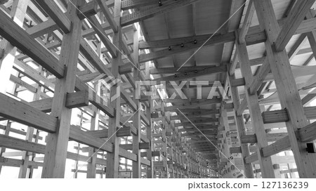 2025 Osaka Kansai Expo Large Roof Ring 2025 Osaka Kansai Expo Large Roof Ring 127136239