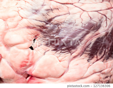 Beef heart background and texture. Beef heart background and texture. 127136306