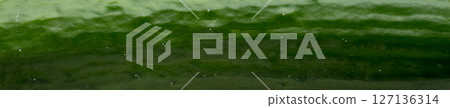 Cucumber background and texture. Cucumber background and texture. 127136314