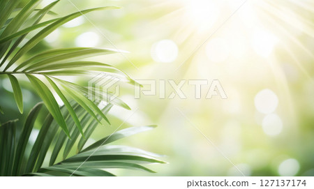 Beautiful blurred background with palm leaves and bright sunlight 127137174