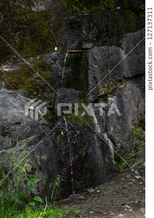 Mountain drinking spring flows, Georgia Mountain drinking spring flows, Georgia 127137311