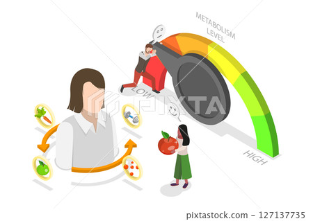 3D Isometric Flat Illustration of Human Organism Metabolism Level, Food Consumption Speed 3D Isometric Flat Illustration of Human Organism Metabolism Level, Food Consumption Speed 127137735