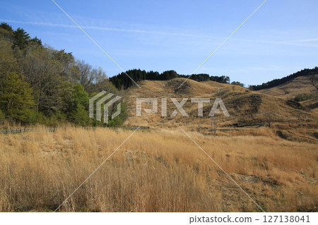 Scenery of Tonomine Plateau, Kamikawa Town, Hyogo Prefecture 127138041