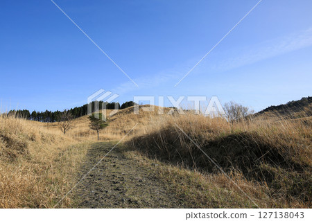 Scenery of Tonomine Plateau, Kamikawa Town, Hyogo Prefecture Scenery of Tonomine Plateau, Kamikawa Town, Hyogo Prefecture 127138043