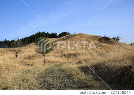 Scenery of Tonomine Plateau, Kamikawa Town, Hyogo Prefecture Scenery of Tonomine Plateau, Kamikawa Town, Hyogo Prefecture 127138044