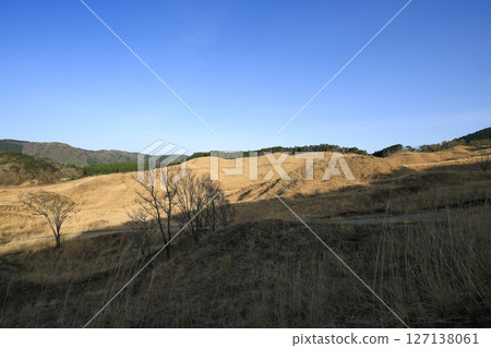 兵庫縣上川町砥峰高原的風景 127138061