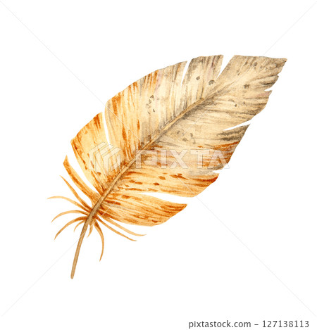 Watercolor illustration of a single brown feather with soft texture and fine details. Natural and artistic element for spring designs, wildlife themes, and eco-friendly creative projects. Watercolor illustration of a single brown feather with soft texture and fine details. Natural and artistic element for spring designs, wildlife themes, and eco-friendly creative projects. 127138113