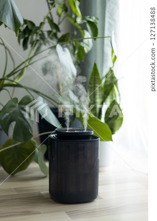 Diffuser, apartment with moisturizer. Modern humidifier at home, moistens dry air surrounded by indoor Monstera houseplant. Humidification, plant care, comfortable living conditions concept. Diffuser, apartment with moisturizer. Modern humidifier at home, moistens dry air surrounded by indoor Monstera houseplant. Humidification, plant care, comfortable living conditions concept. 127138488