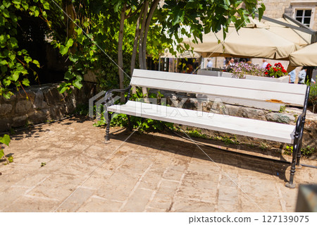 Empty bench under green trees on a sunny day. Relaxation, summer mood, and peaceful outdoor atmosphere. 127139075