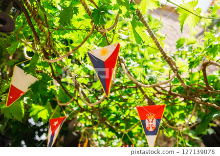 Colorful pennant flags hanging under grapevine branches - Serbia, Philippines, Cuba, Poland. Celebration, multicultural unity, and festive outdoor decor. 127139078