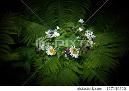 Summer Solstice Day, Midsummer, Floral Wreath on Ferns 127139220
